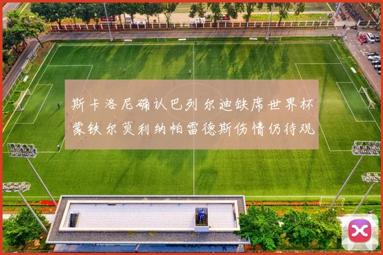 斯卡洛尼确认巴列尔迪缺席世界杯蒙铁尔莫利纳帕雷德斯伤情仍待观察