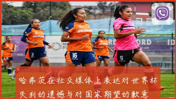 哈弗茨在社交媒体上表达对世界杯失利的遗憾与对国家期望的歉意